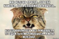 мне нелегко просто... это так кажется, что я спокойно отношусь... все это навалилось и все прибывает, а тут ещё и ты отмалчиваешься... я же не железная...