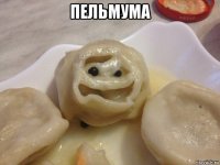 пельмума 