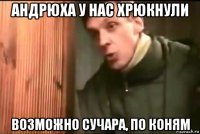 андрюха у нас хрюкнули возможно сучара, по коням
