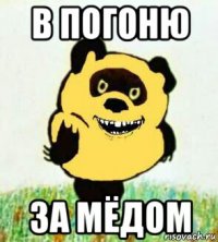 в погоню за мёдом