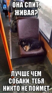 она спит, живая? лучше чем собаки, тебя никто не поймет