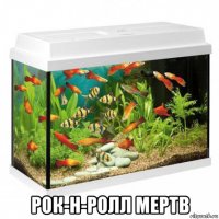  рок-н-ролл мертв
