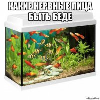 какие нервные лица быть беде 