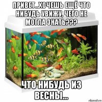 привет...хочешь ещё что нибудь увижу, чего не могла знать??? что нибудь из весны...