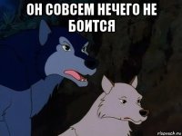 он совсем нечего не боится 