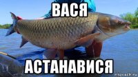 вася астанавися
