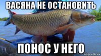 васяна не остановить понос у него