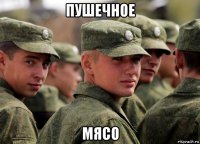 пушечное мясо