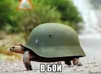  в бой
