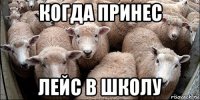 когда принес лейс в школу