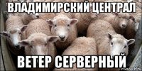 владимирский централ ветер серверный