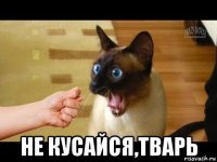  не кусайся,тварь