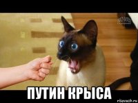  путин крыса