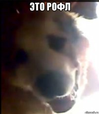 это рофл 