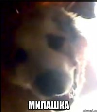  милашка