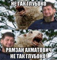не так глубоко рамзан ахматович не так глубоко!