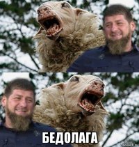  бедолага