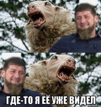  где-то я её уже видел