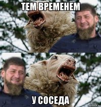тем временем у соседа