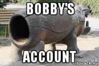 bobby's account