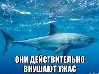  они действительно внушают ужас