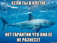 если ты в клетке нет гарантии что она ее не разнесет