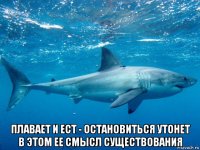  плавает и ест - остановиться утонет в этом ее смысл существования