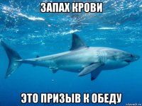 запах крови это призыв к обеду
