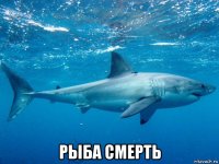  рыба смерть