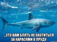 ...это вам блять не охотиться за карасями в пруду