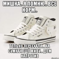 мишка.. я помню.. все норм.. только переехала... на сумках ещё живу... дом напротив