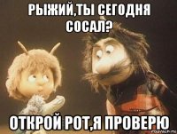 рыжий,ты сегодня сосал? открой рот,я проверю