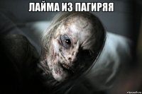 лайма из пагиряя 