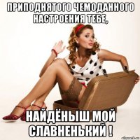 приподнятого чемоданного настроения тебе, найдёныш мой славненький !