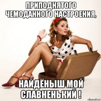 приподнятого чемоданного настроения, найдёныш мой славненький !