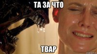 та за что твар