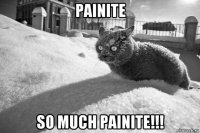 painite so much painite!!!