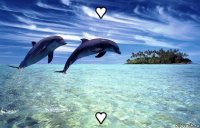 ♥ ♥