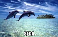  sega