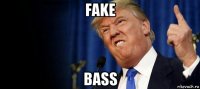 fake bass