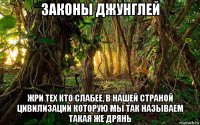 законы джунглей жри тех кто слабее, в нашей страной цивилизации которую мы так называем такая же дрянь