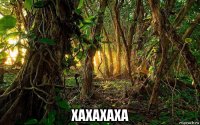  xaxaxaxa