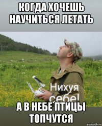 когда хочешь научиться летать а в небе птицы топчутся