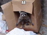 ав 