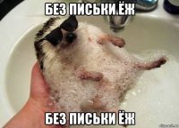 без письки ёж без письки ёж