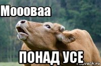  понад усе