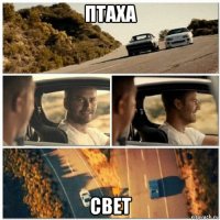 птаха свет