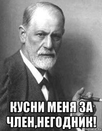  кусни меня за член,негодник!