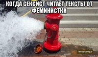 когда сексист читает тексты от феминистки 