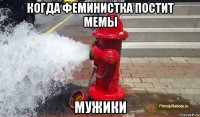 когда феминистка постит мемы мужики